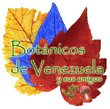 http://www.sbotanica.org.ve/images/botanicos-de-venezuela-y-sus-amigos-inside-s.gif